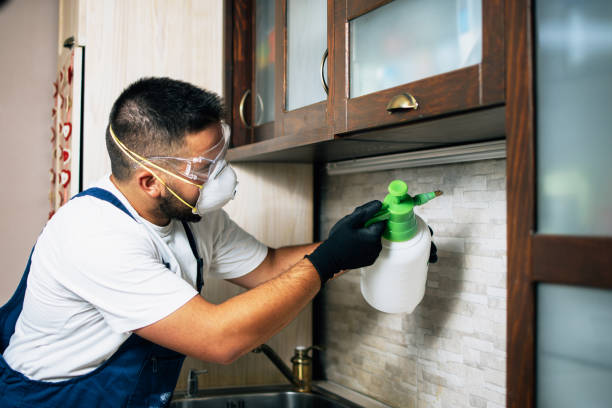 Best Best Pest Control Companies  in Lake Forest Park, WA