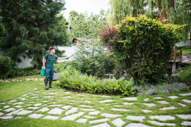 Professional Pest Control in Lake Forest Park, WA