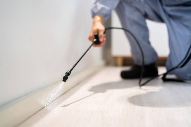 Pest Control Cost in Lake Forest Park, WA